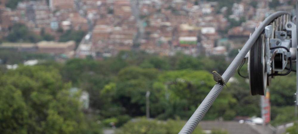 Ya está en Medellín el cable que permitirá el óptimo funcionamiento del Metrocable Picacho